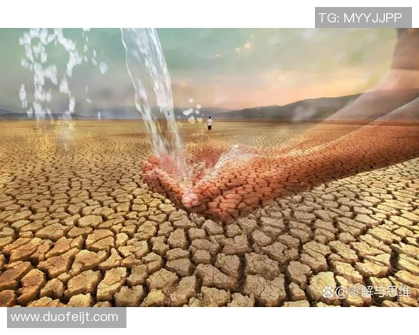 全球视野下的可持续发展：各国合作与创新应对气候变化挑战