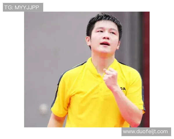 杭州乒乓球队反击之路的得与失分析与展望